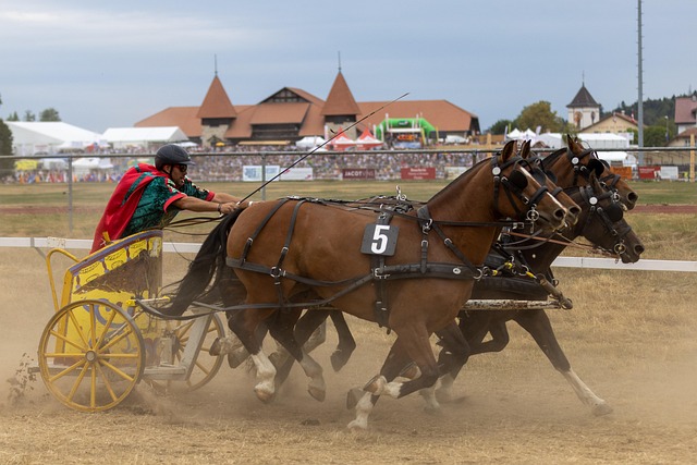 以静制动 以静制动
